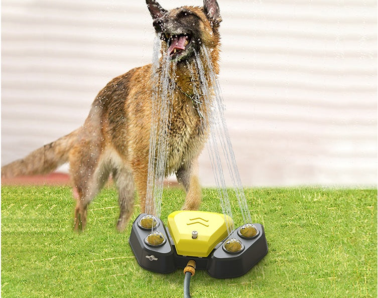 Fontaine à Eau Automatique Woufly